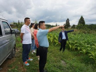 “近零碳”示范園區(qū)緣何落地難？