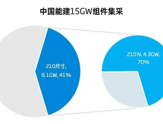 4.3GW！超過20家企業(yè)競逐210 N組件投標(biāo)