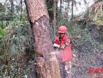 國網(wǎng)漣源市供電公司：黨建引領(lǐng)打造電網(wǎng)“平安通道”