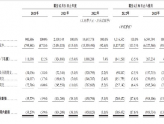 “青山系”第一個IPO來了，估值300億