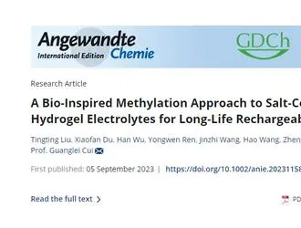 柔性鈉離子電池容量及穩(wěn)定性獲提升！新技術(shù)可防止電解質(zhì)鹽析……